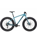 DD30 FATBIKE